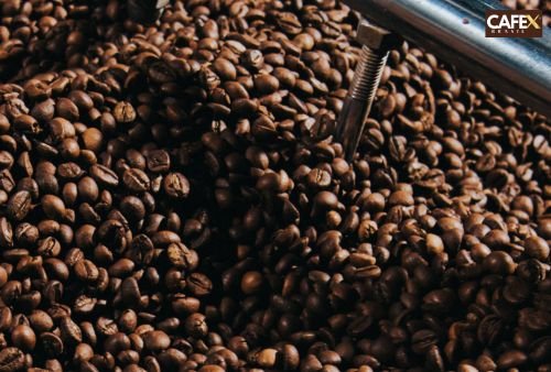 Torrefação Cafex Brasil